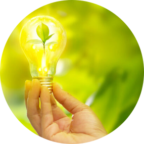 Eine leuchtende Glühbirne, wird vor einem grünen Hintergrund von einer Hand festgehalten.