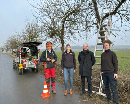 Vier Personen stehen an einer Obstbaumallee an der Schnittarbeiten durchgeführt werden.